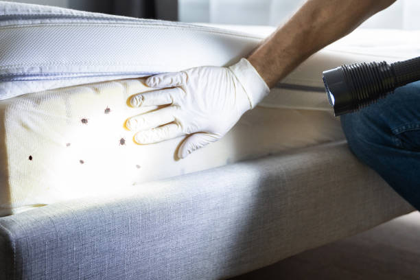 Reliable Beatrice, NE Pest Control Solutions