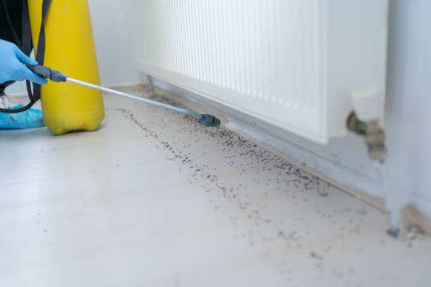 Best Commercial Pest Control Services  in Beatrice, NE