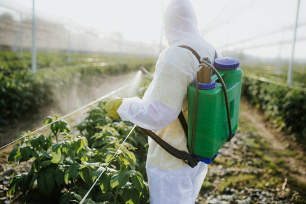  Beatrice, NE Pest Control Pros